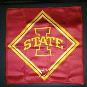 NWOT Iowa State Lens Cleaning Cloth